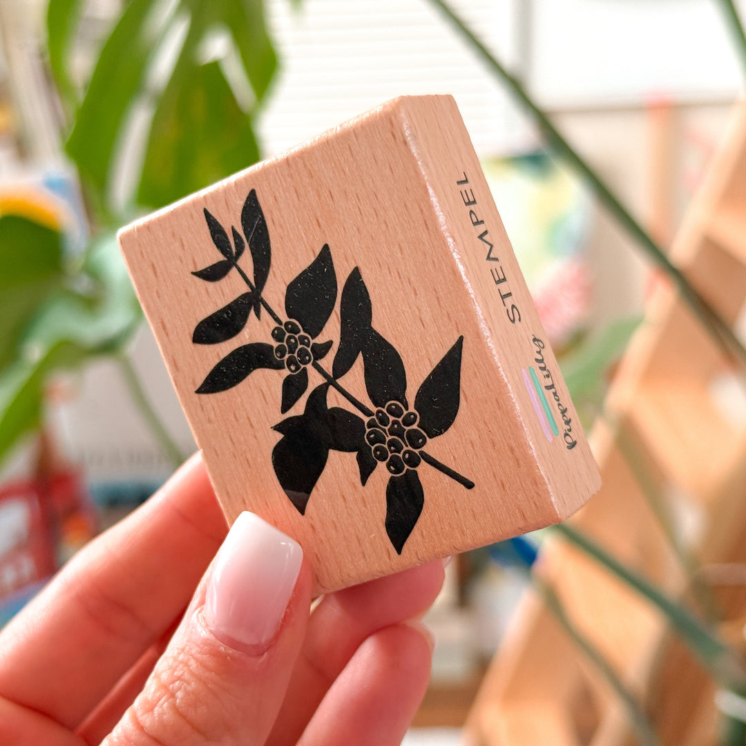 May & Berry Stempel Kaffeepflanze